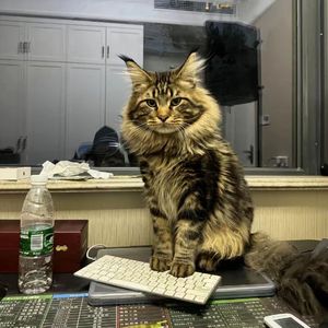 男生操女生的小骚逼视频
